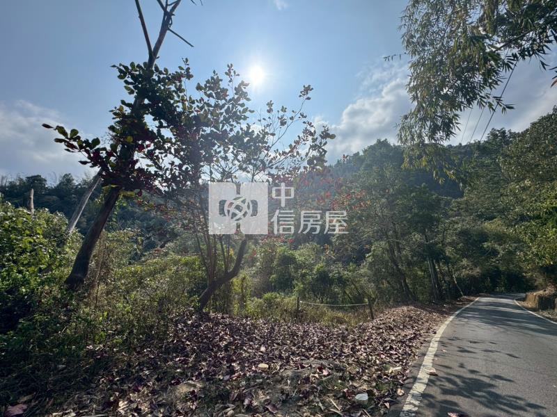 南投埔里桃米坑便宜農建地房屋室內格局與周邊環境