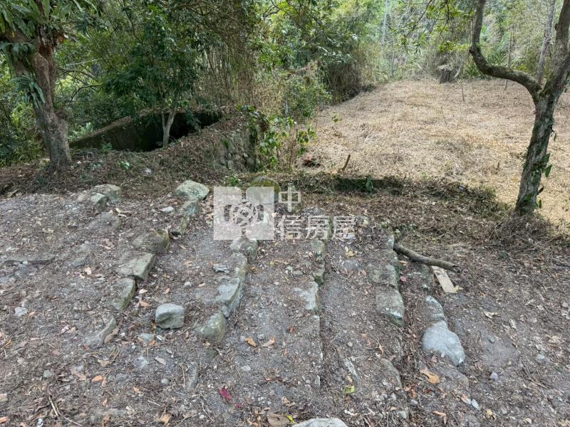 南投埔里桃米坑便宜農建地房屋室內格局與周邊環境