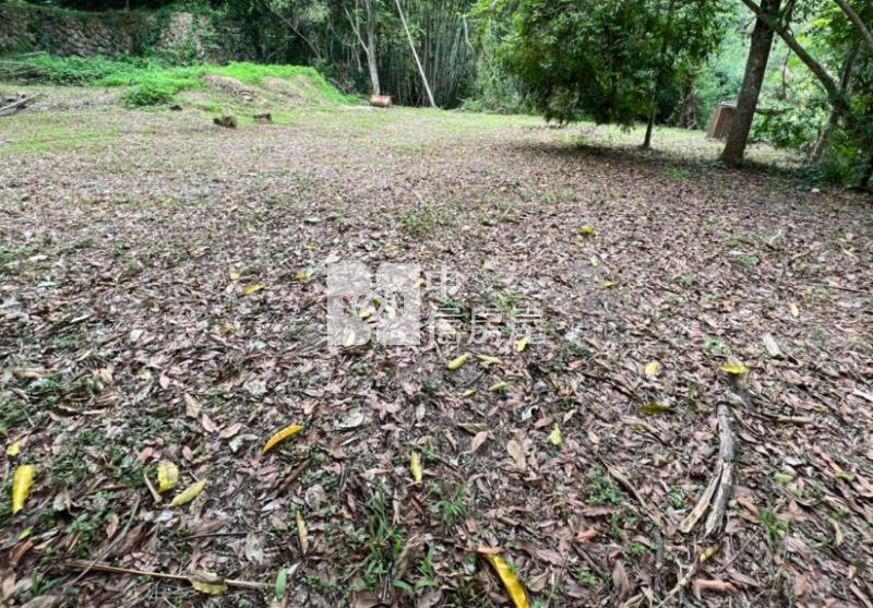 南投埔里桃米坑便宜農建地房屋室內格局與周邊環境