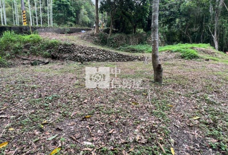 南投埔里桃米坑便宜農建地房屋室內格局與周邊環境