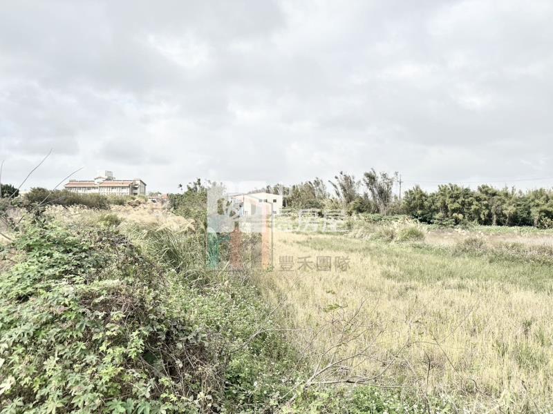 【豐禾】青埔棒球場台31旁漂亮方正美農地房屋室內格局與周邊環境