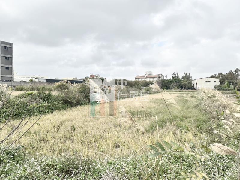 【豐禾】青埔棒球場台31旁漂亮方正美農地房屋室內格局與周邊環境