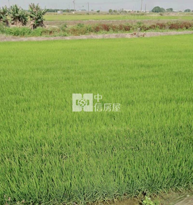 布袋貴舍4分9一般美農地房屋室內格局與周邊環境