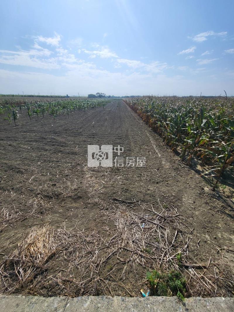 六腳潭子墘美農地(二)房屋室內格局與周邊環境