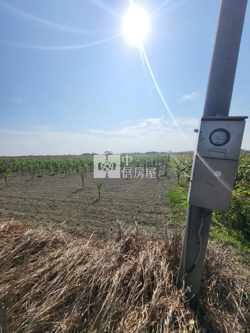 六腳潭子墘美農地(一)房屋室內格局與周邊環境