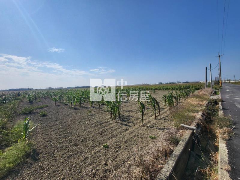 六腳潭子墘美農地(一)房屋室內格局與周邊環境