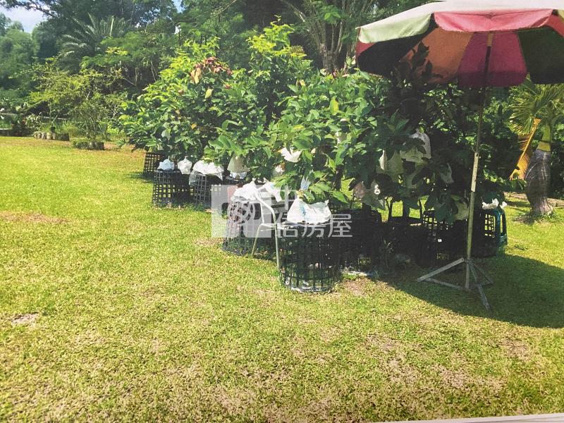 內門實踐大學莊園農地房屋室內格局與周邊環境