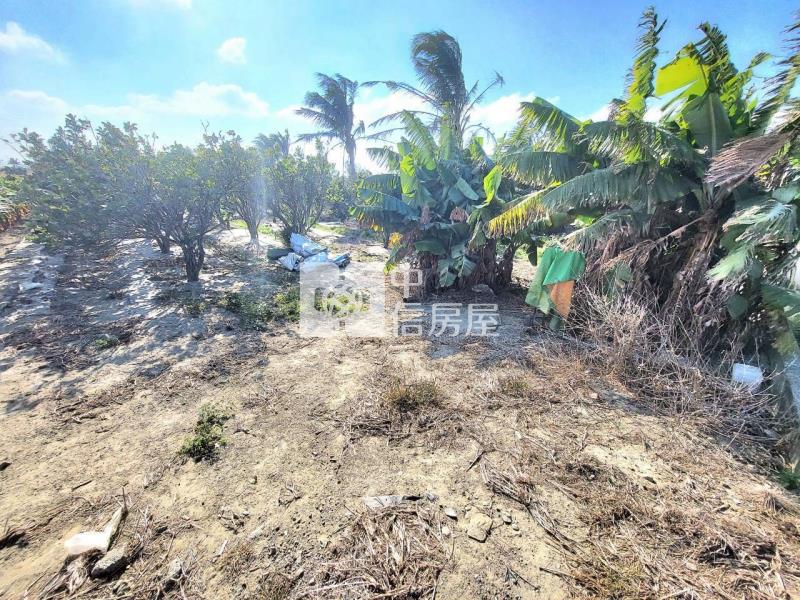 六腳台19縣旁美農地(一)房屋室內格局與周邊環境