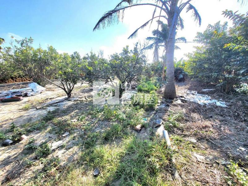 六腳台19縣旁美農地(一)房屋室內格局與周邊環境