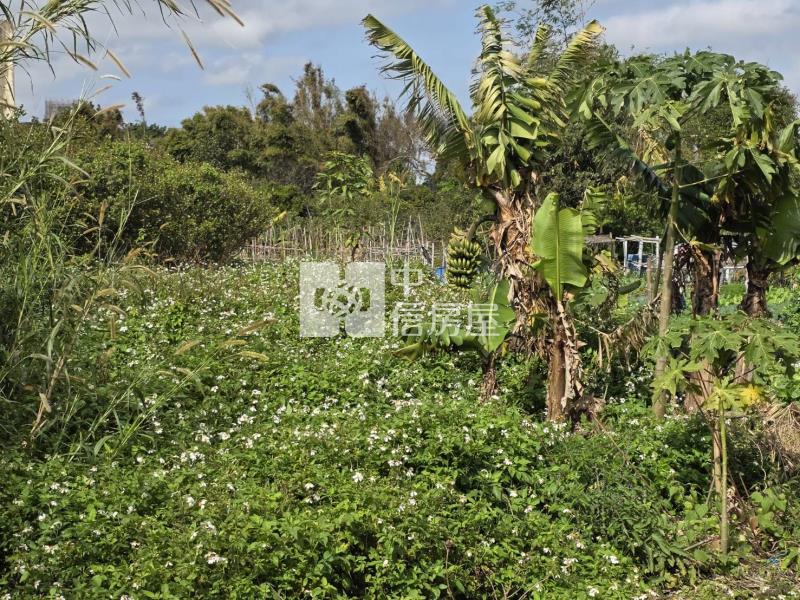 楊梅老莊路都內農地房屋室內格局與周邊環境