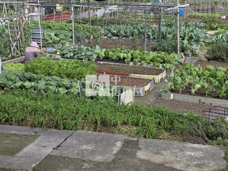 楊梅老莊路都內農地房屋室內格局與周邊環境