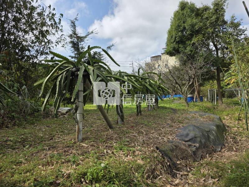 楊梅老莊路都內農地房屋室內格局與周邊環境