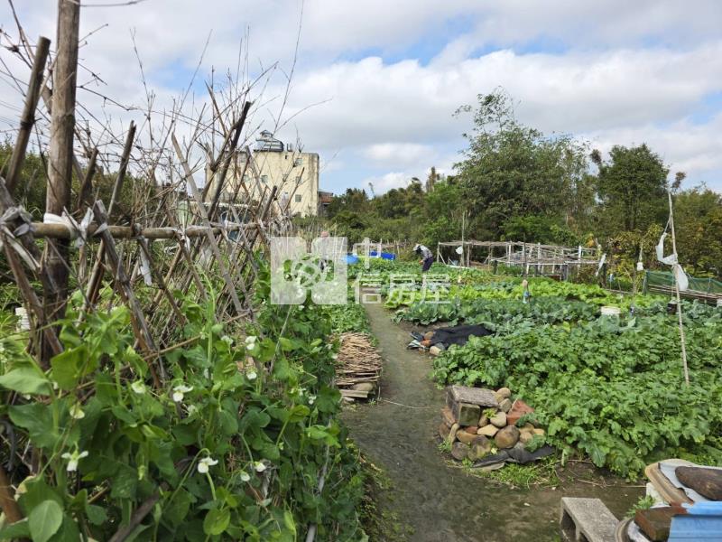 楊梅老莊路都內農地房屋室內格局與周邊環境