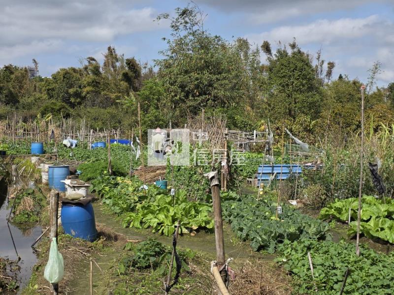 楊梅老莊路都內農地房屋室內格局與周邊環境