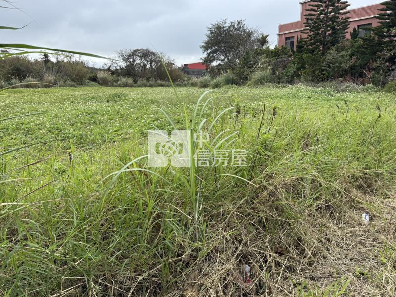 大園喜來登一般農房屋室內格局與周邊環境