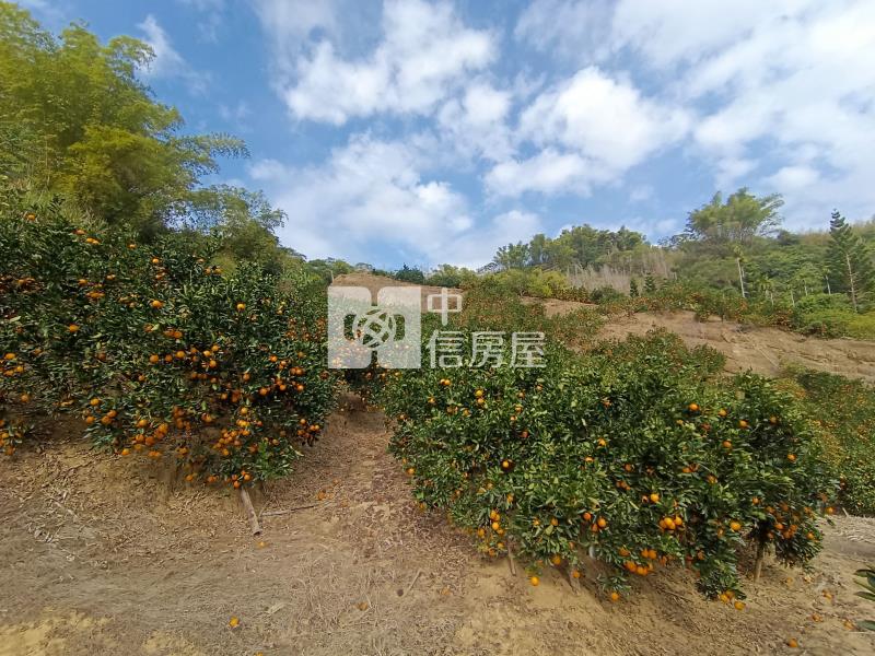 南投中寮超低價農牧用地房屋室內格局與周邊環境