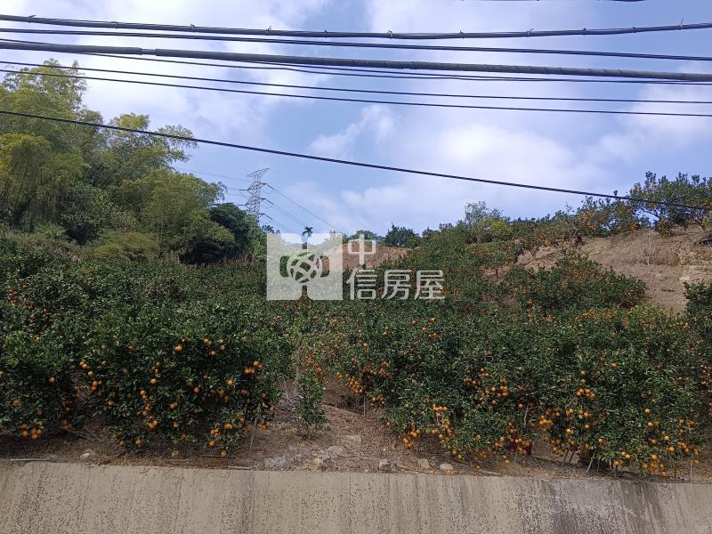南投中寮超低價農牧用地房屋室內格局與周邊環境