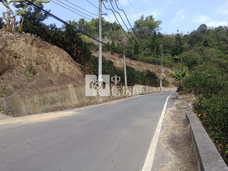 南投中寮超低價農牧用地房屋室內格局與周邊環境