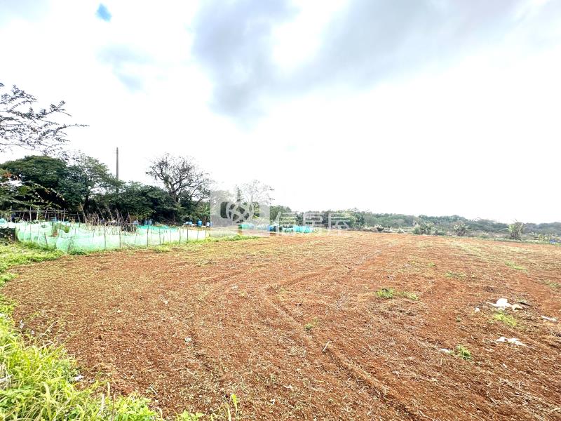 【安家】稀有物件！臺66快速道千坪美田房屋室內格局與周邊環境