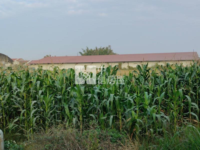 新市潭頂工廠旁6.5分一般農地房屋室內格局與周邊環境