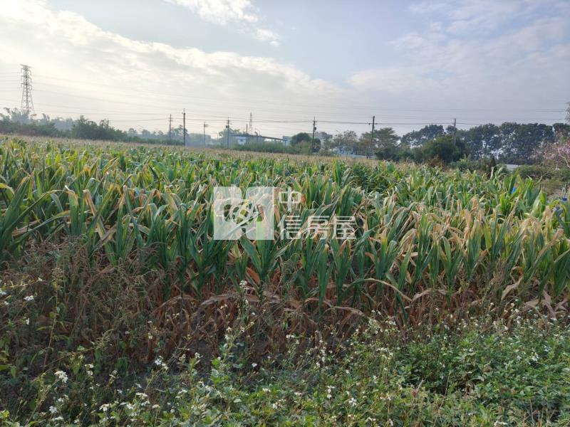 新市潭頂工廠旁6.5分一般農地房屋室內格局與周邊環境