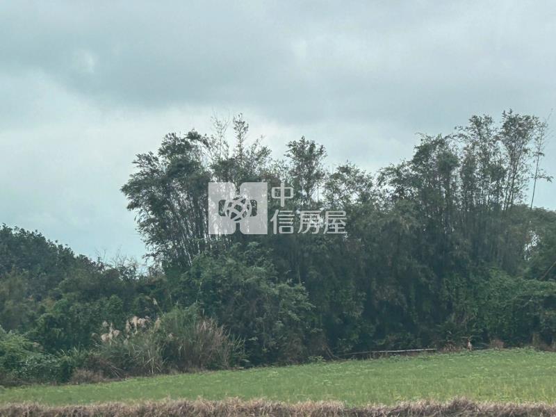 大園鈔值方正都計農房屋室內格局與周邊環境