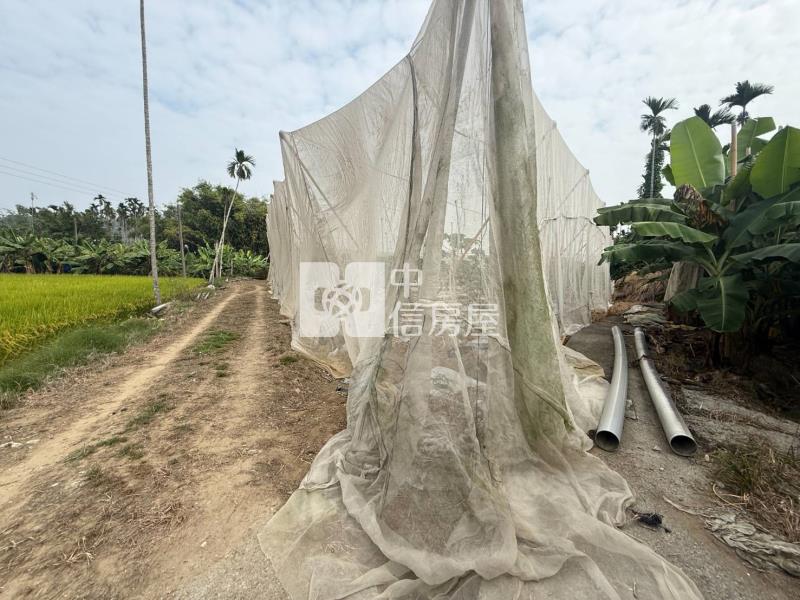 7J34嘉義縣中埔特農房屋室內格局與周邊環境