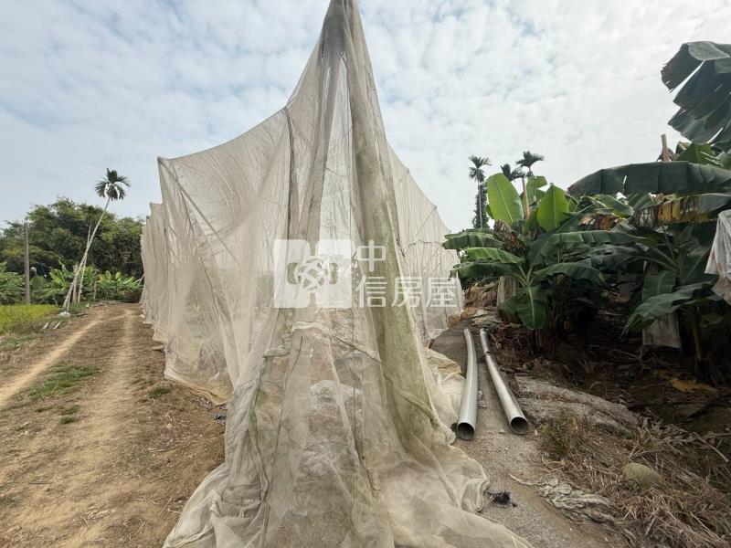 7J34嘉義縣中埔特農房屋室內格局與周邊環境