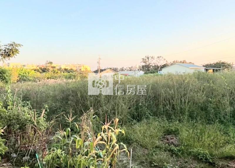 近七股派出所玉成段臨路建地房屋室內格局與周邊環境