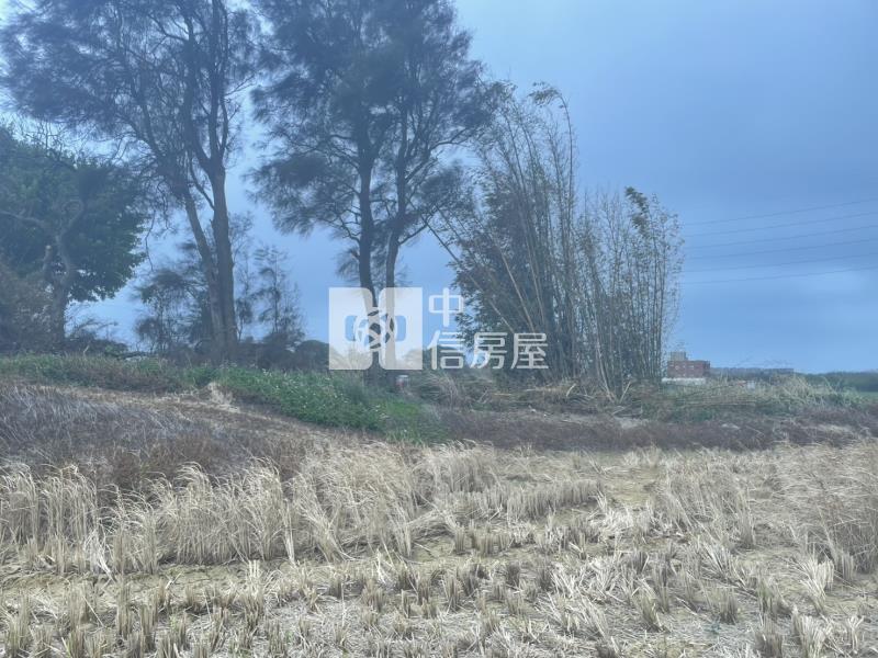 【新世紀】永安國小田+建房屋室內格局與周邊環境