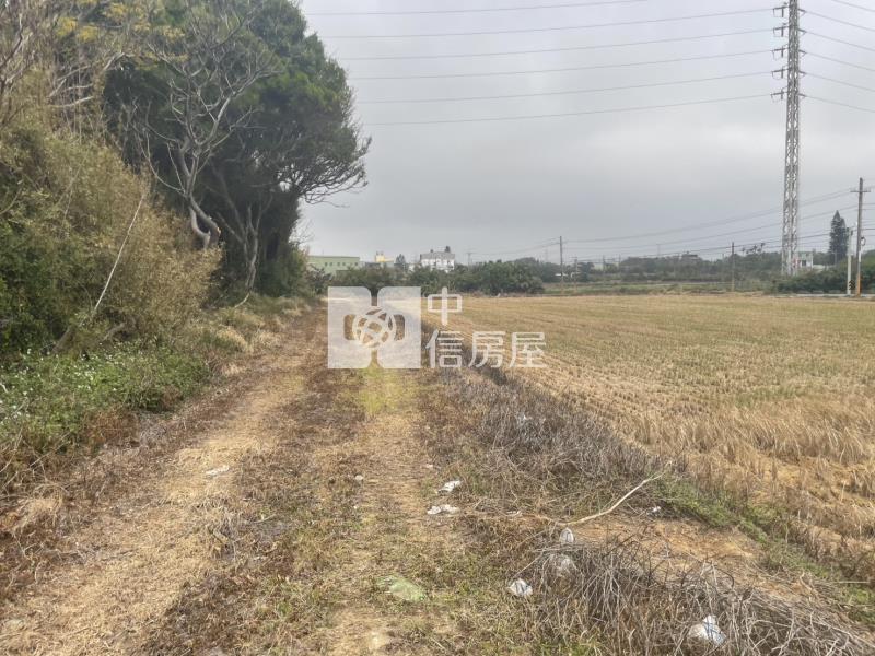 【新世紀】永安國小田+建房屋室內格局與周邊環境