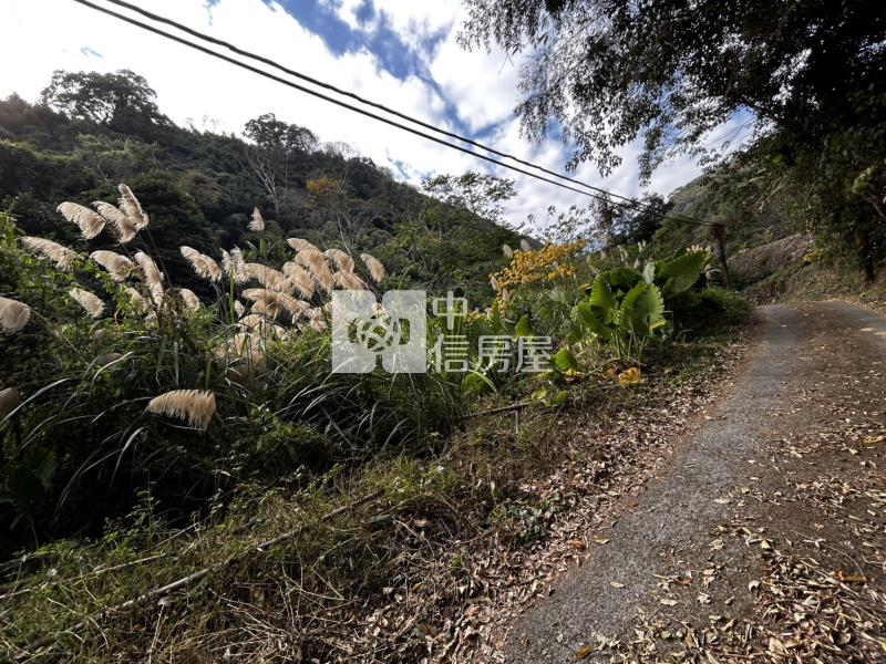 苗栗大湖山清水秀大面積農地(專)房屋室內格局與周邊環境