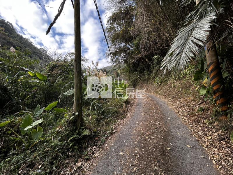 苗栗大湖山清水秀大面積農地(專)房屋室內格局與周邊環境