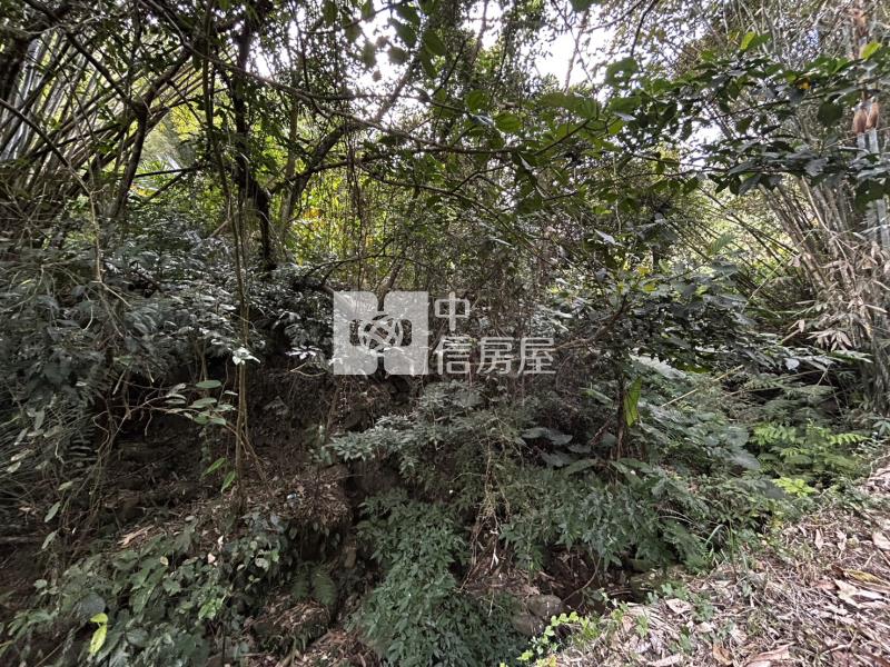 苗栗大湖山清水秀大面積農地(專)房屋室內格局與周邊環境