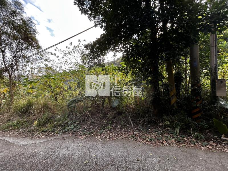 苗栗大湖山清水秀大面積農地(專)房屋室內格局與周邊環境