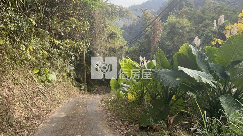 苗栗大湖山清水秀大面積農地(專)房屋室內格局與周邊環境