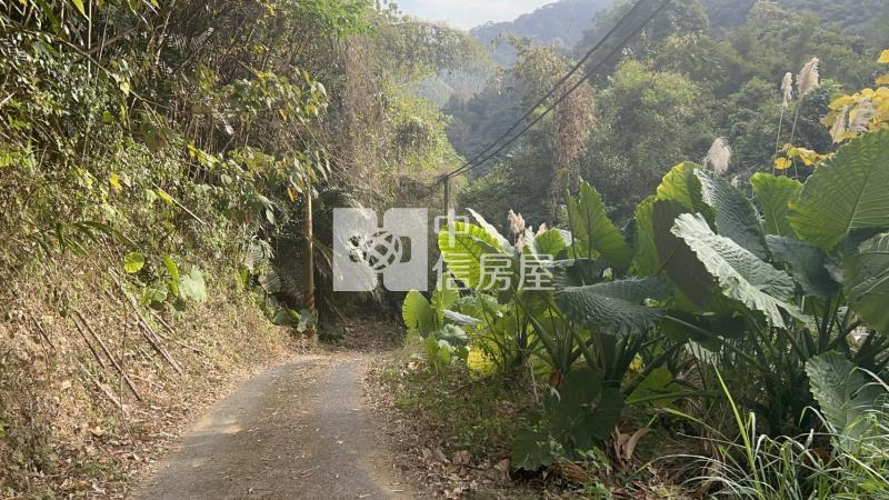 苗栗大湖山清水秀大面積農地(專)房屋室內格局與周邊環境