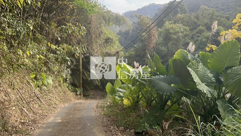 苗栗大湖山清水秀大面積農地(專)房屋室內格局與周邊環境