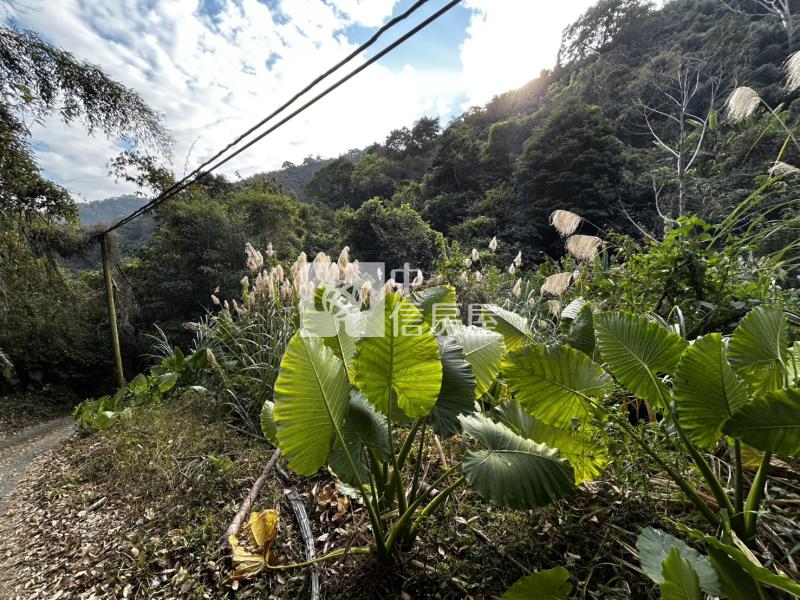 苗栗大湖山清水秀大面積農地(專)房屋室內格局與周邊環境