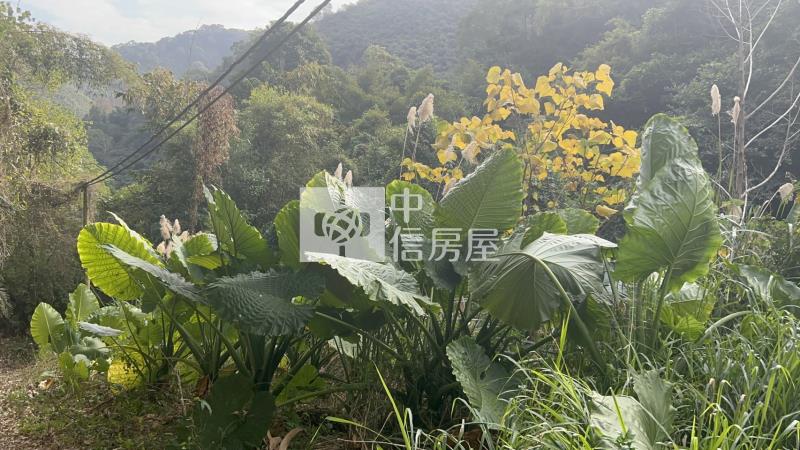 苗栗大湖山清水秀大面積農地(專)房屋室內格局與周邊環境