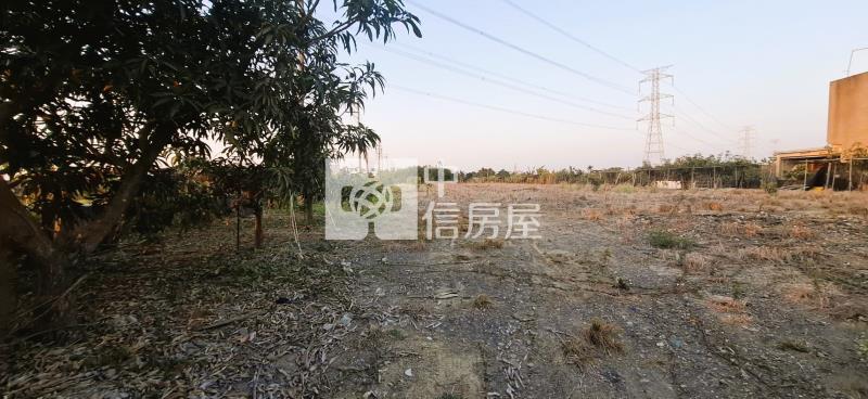 阿蓮中山路上角窗農地房屋室內格局與周邊環境