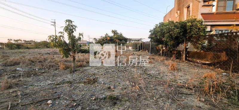 阿蓮中山路上角窗農地房屋室內格局與周邊環境