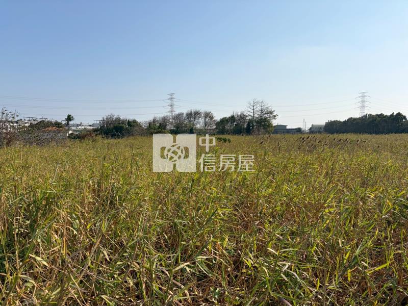 大灣農地1房屋室內格局與周邊環境