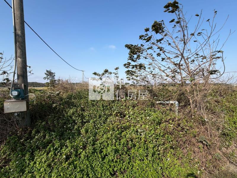 大灣農地2房屋室內格局與周邊環境