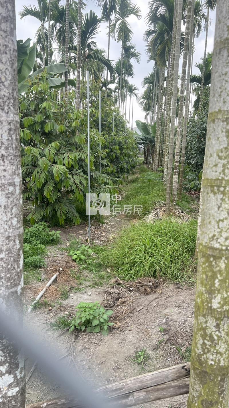 屏東長治一般農房屋室內格局與周邊環境