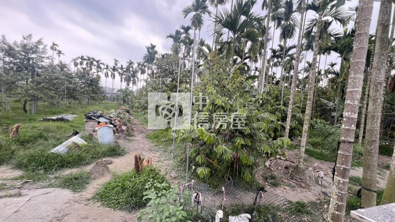 屏東長治一般農房屋室內格局與周邊環境