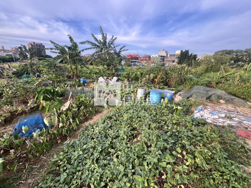 專委-中壢華勛都計內農地房屋室內格局與周邊環境