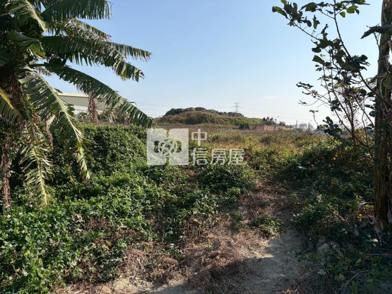 大灣農地3房屋室內格局與周邊環境