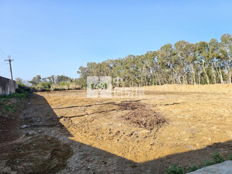 新屋後庄農舍+大坪數廠房房屋室內格局與周邊環境