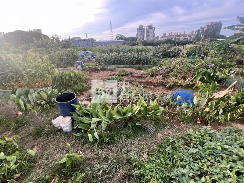 專委-中壢仁德段都計內農地房屋室內格局與周邊環境